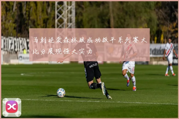 马刺逆袭森林狼成功扳平系列赛大比分展现强大实力